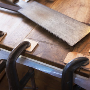 Lion and Panda Building Applications